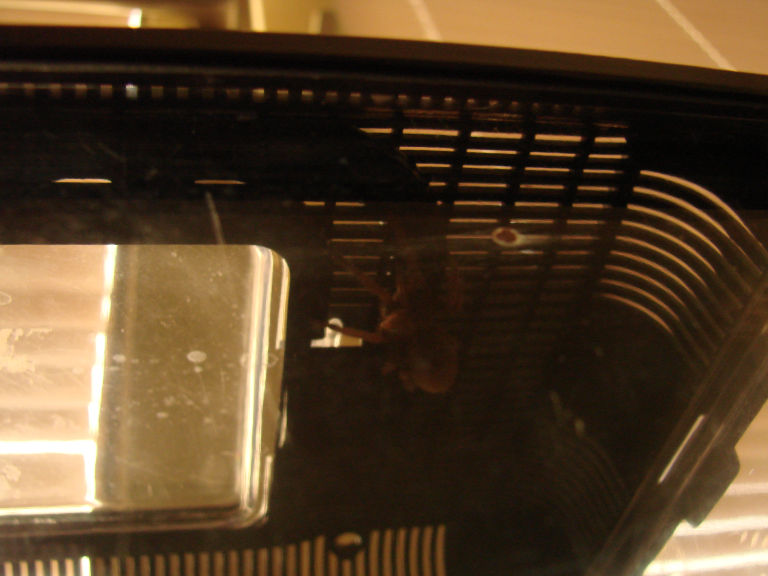 Klanja kopfüber unter der Abdeckung