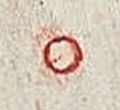 Image:bln0019.1.BGF.small_zpfR4ba.jpg