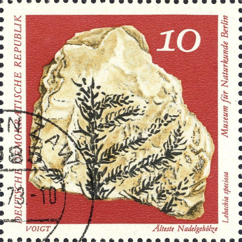 Image:ddr1822.1.big.jpg
