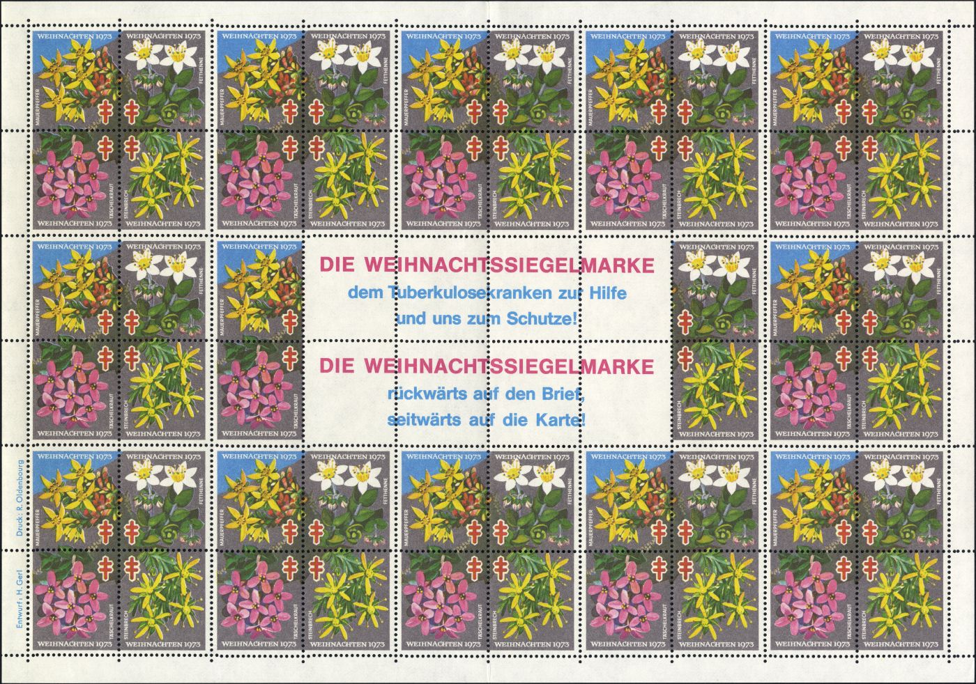 Image:vgn_bnd_wsm1973.3.small_bg1.jpg