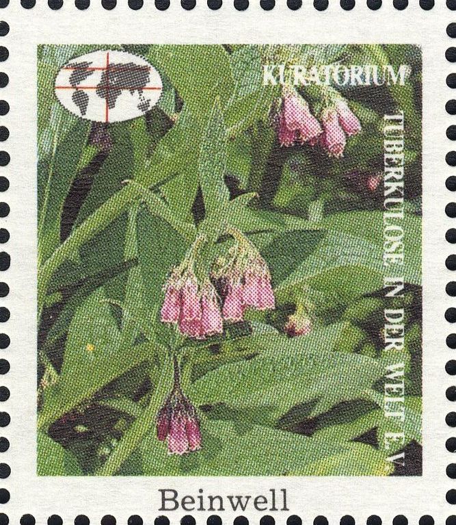Image:vgn_bnd_wsm1991.1.0243.big.jpg