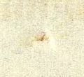 Image:bln0043.5.small_jpfU7cb.jpg