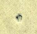 Image:bnd0226xw.114.small_jpfL5cb.jpg