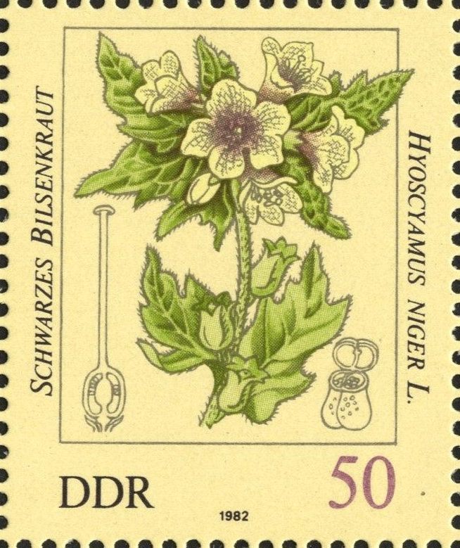 Image:ddr2696.4js.big.jpg