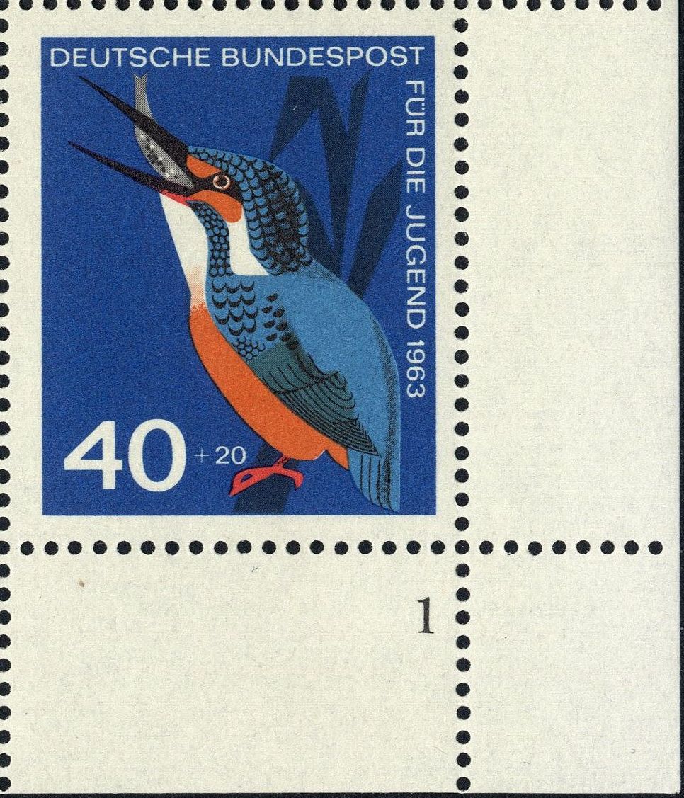 Image:bnd0404.2.big_fn1f50.jpg