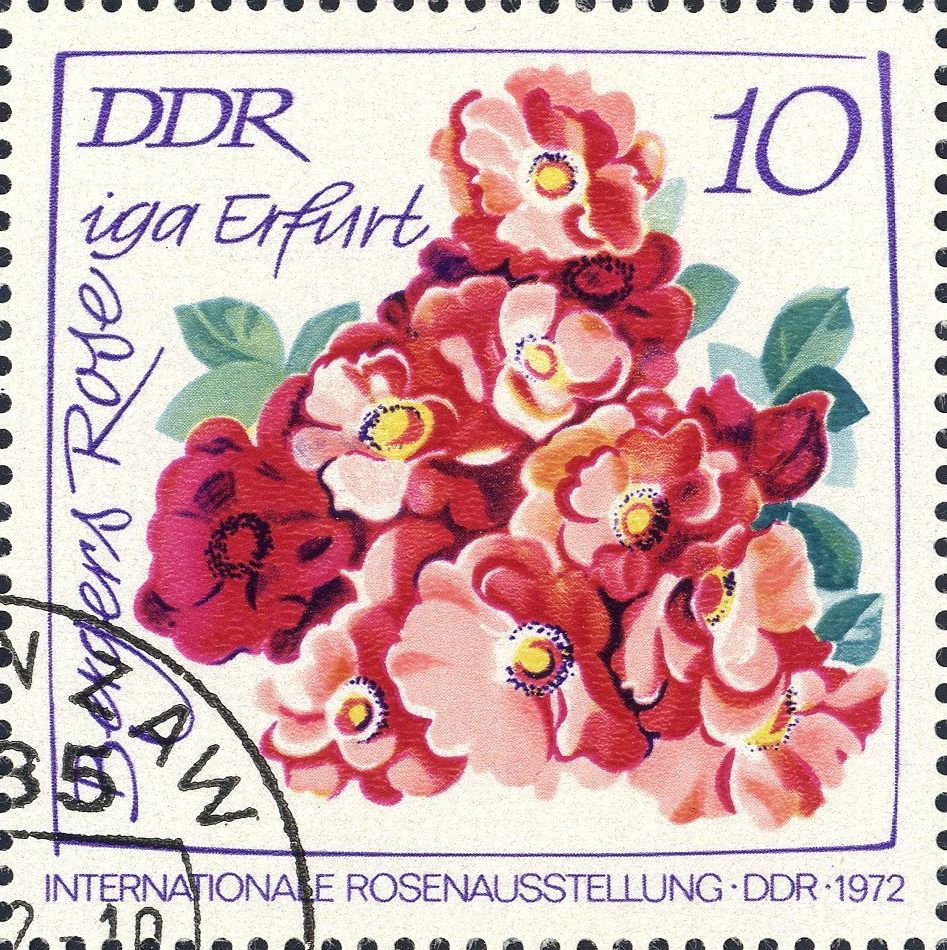 Image:ddr1764.1.big.jpg
