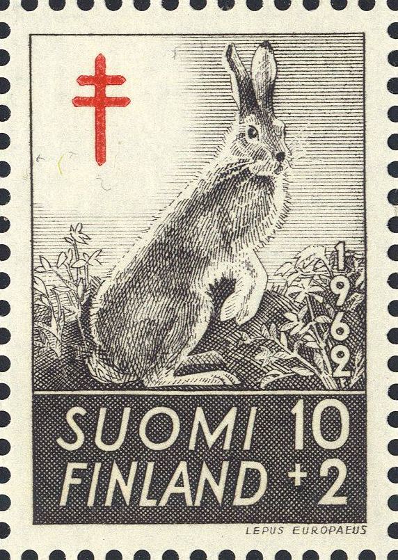 Image:fin0551.1.big.jpg