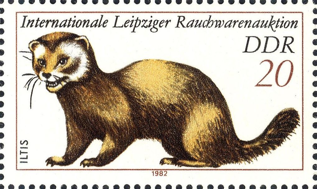 Image:ddr2678.1.big.jpg