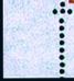 Image:Bnd0192xWv.1rh.small_zvf91.jpg
