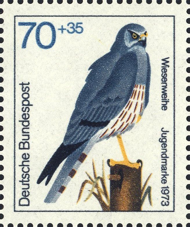 Image:bnd0757.1.big.jpg
