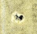 Image:bnd0226xv.5.small_zpfR5bb.jpg