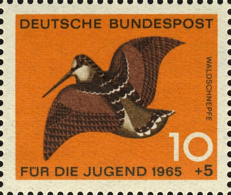Image:bnd0464.1.big.jpg