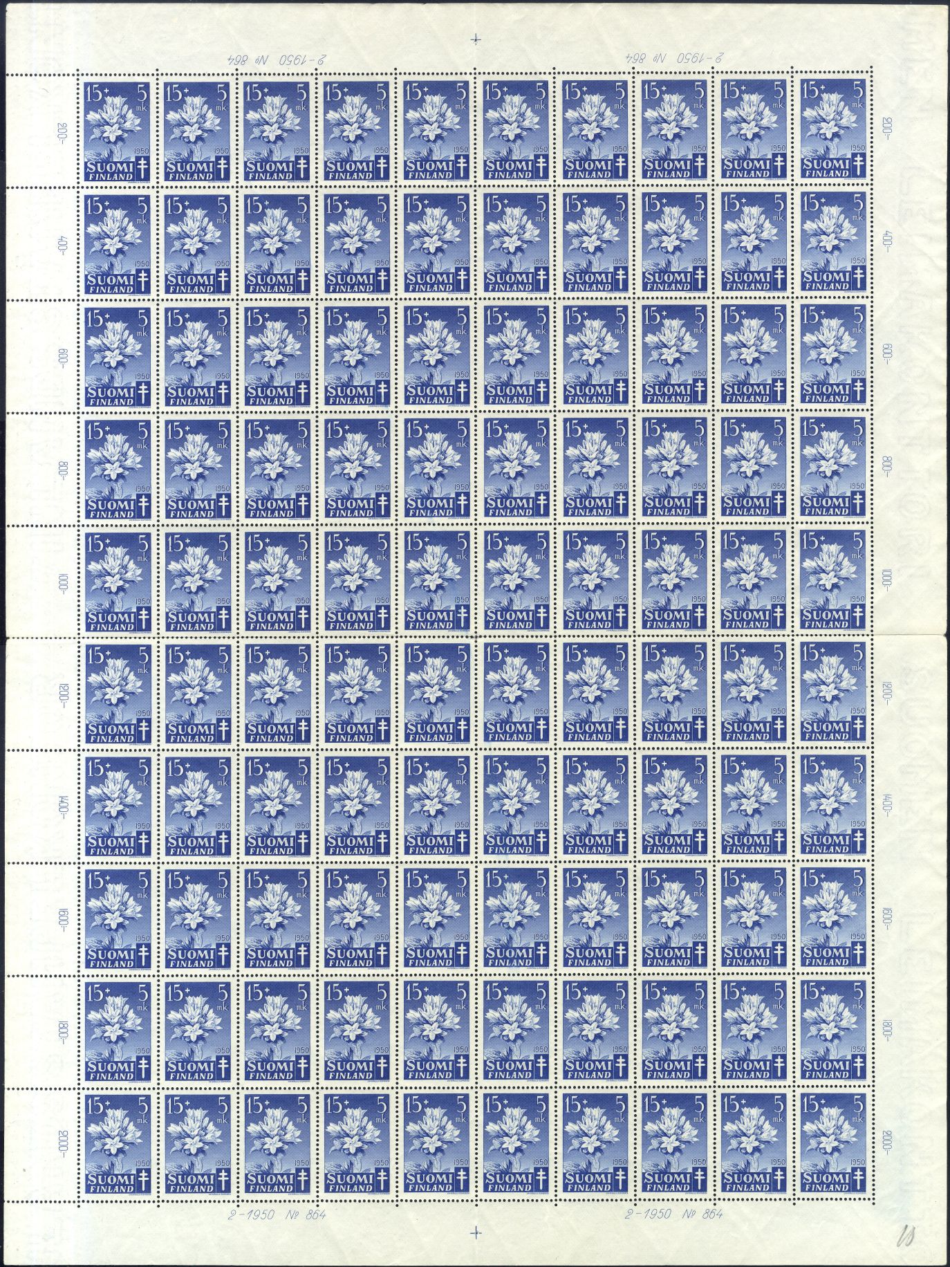 Image:fin0387.1.small_bg1.jpg