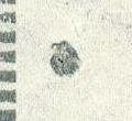 Image:saar0386.1.small_zpfR5ba.jpg