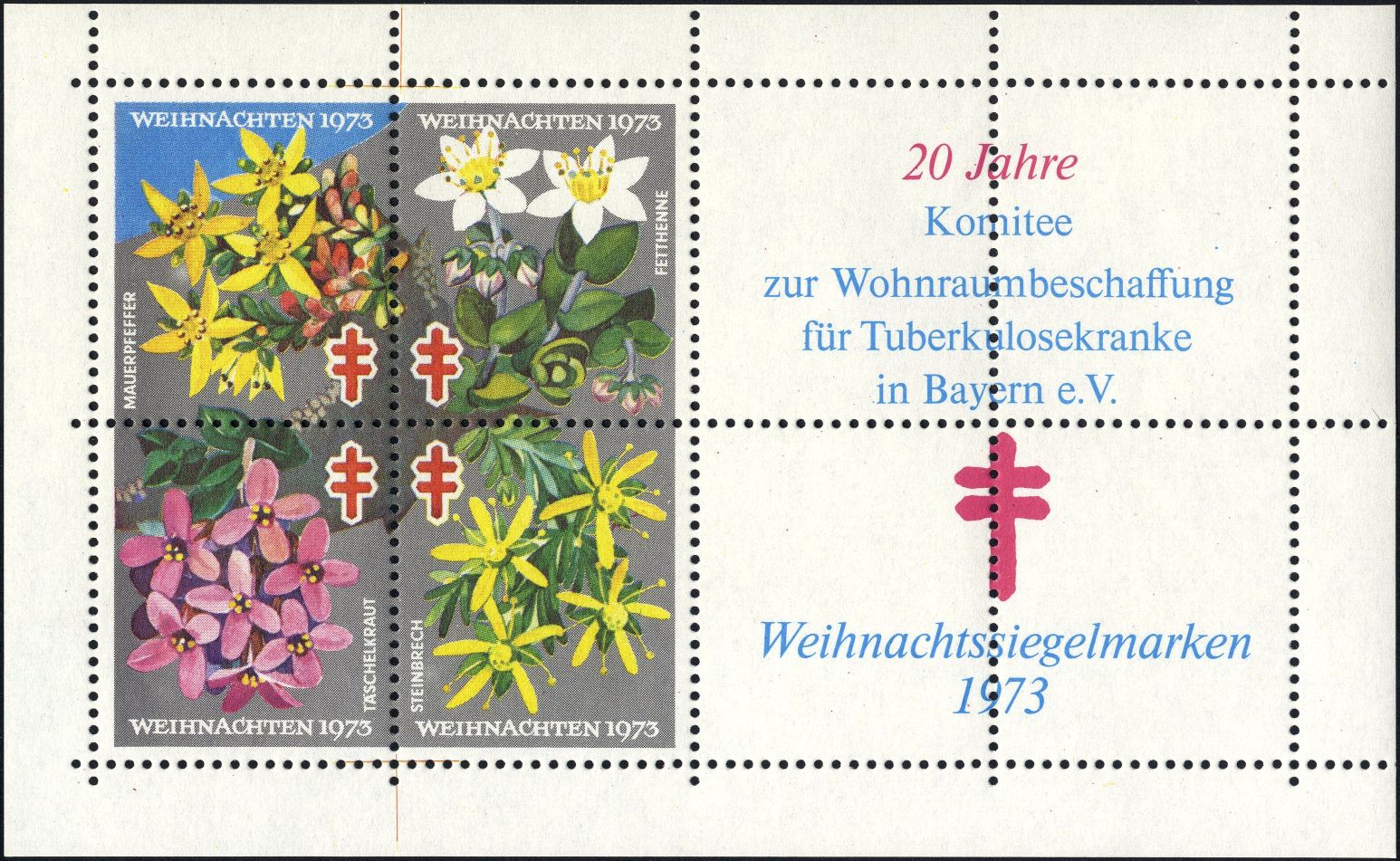 Image:vgn_bnd_wsm1973B.1.small_bg1.jpg