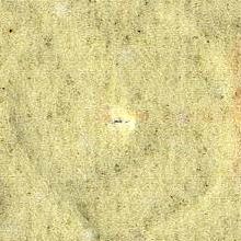 Image:bln0175.2.small_npfO6cb.jpg
