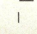 Image:ddr1781.1.small_fnIfR4ma.jpg