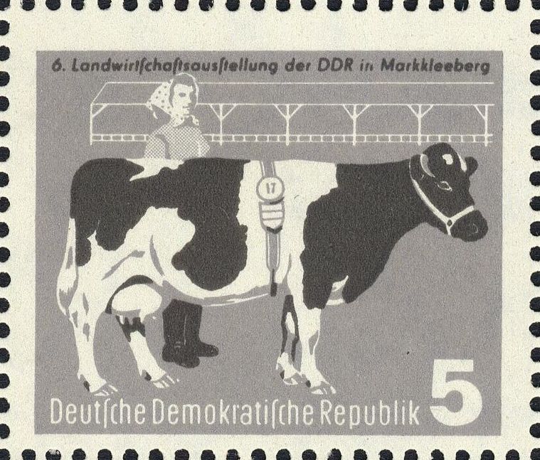 Image:ddr0628.1.big.jpg