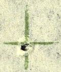 Image:bnd0252.2.small_pkf31a.jpg