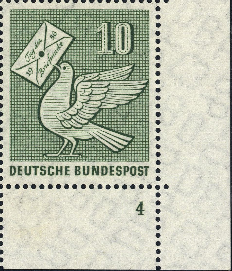 Image:bnd0247.6.big_fn4f50.jpg