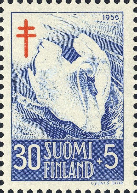 Image:fin0463.1.big.jpg