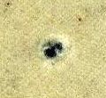 Image:bnd0226xw.023.small_zpfL5cb.jpg