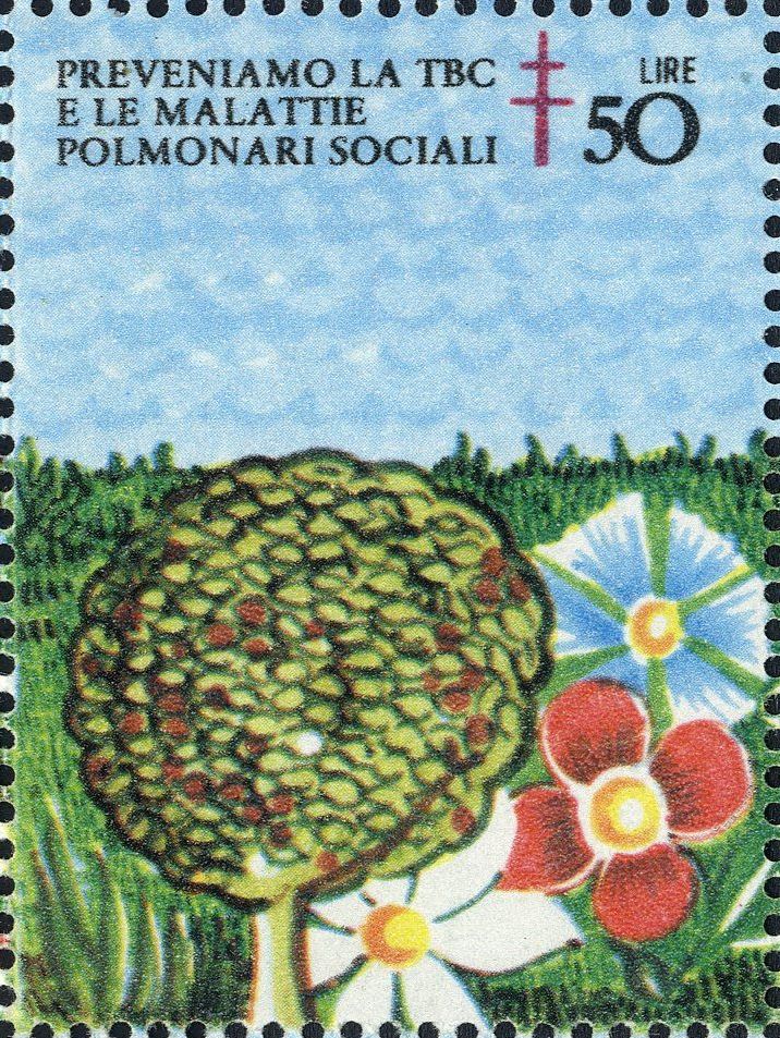 Image:vgn_ita_wsm1980.1.f11.big.jpg
