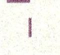 Image:ddr2095.1.small_fnIfU2ma.jpg