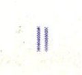 Datei:Ddr2505.2.small fnIIfR4ca.jpg