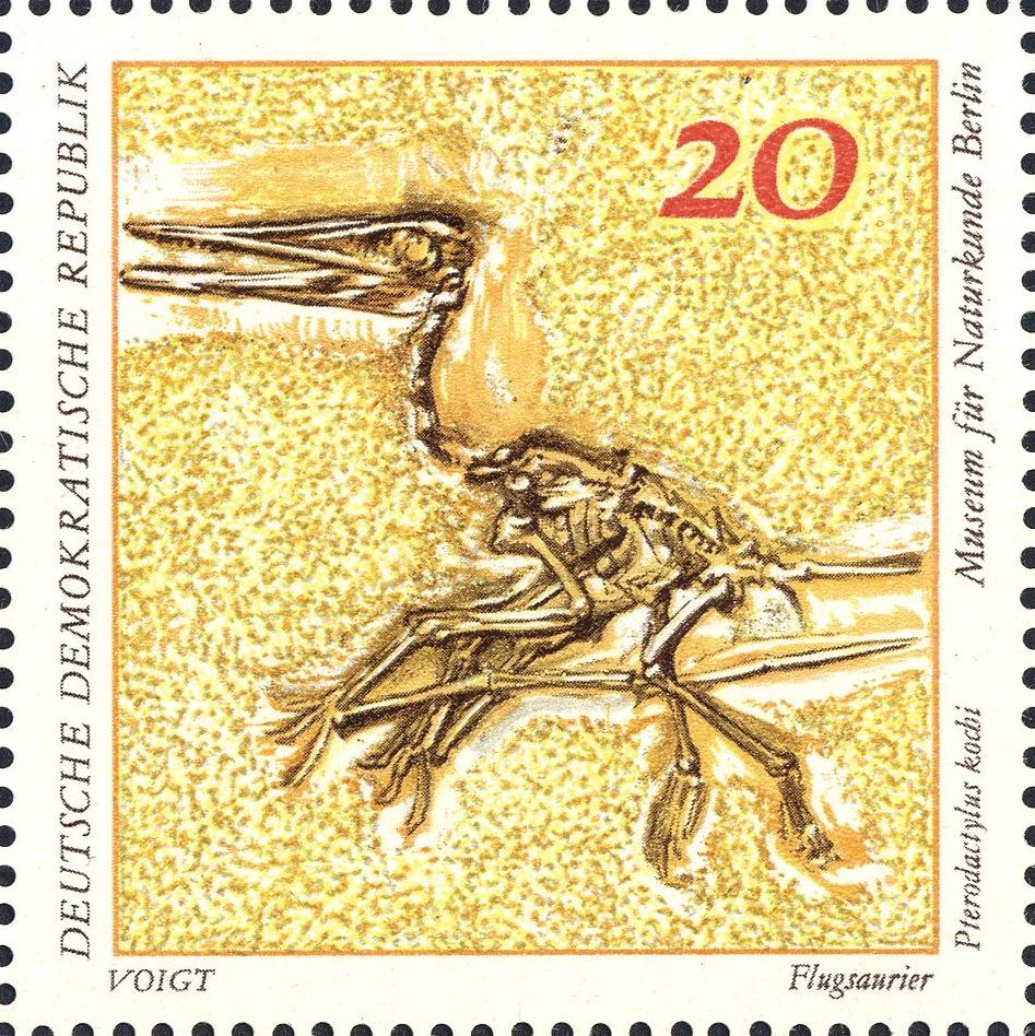 Image:ddr1824.1.big.jpg