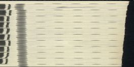 Image:ddr0327zaXII.1.small_smlr.jpg