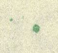 Datei:Ddr0923.3.small symf48a.jpg