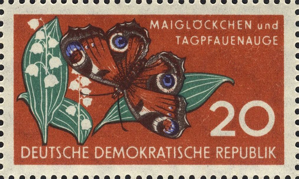 Image:ddr0690.7.big.jpg