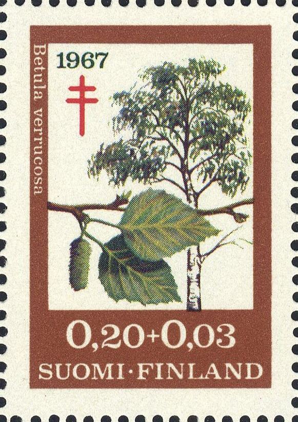 Image:fin0623.1.big.jpg