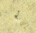 Image:bnd0226xw.080.small_jpfL5ab.jpg