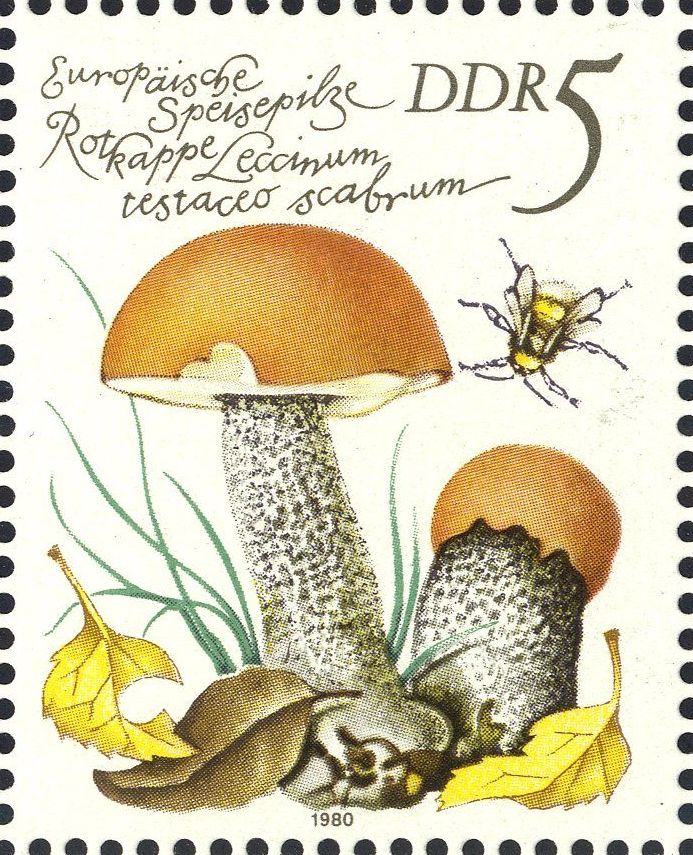 Image:ddr2551.1.big.jpg