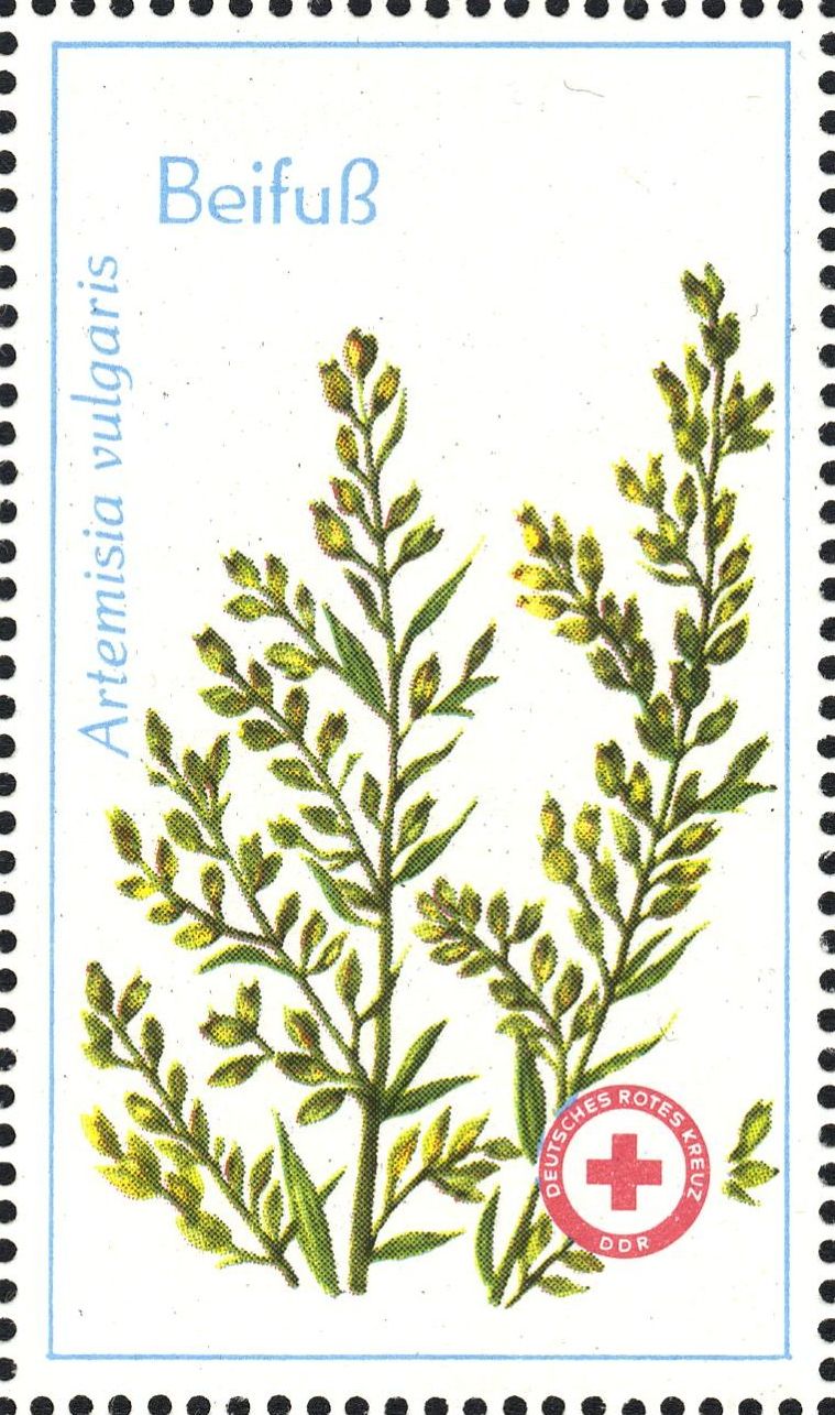 Image:ddr_drksms0007.1.f2.big.jpg