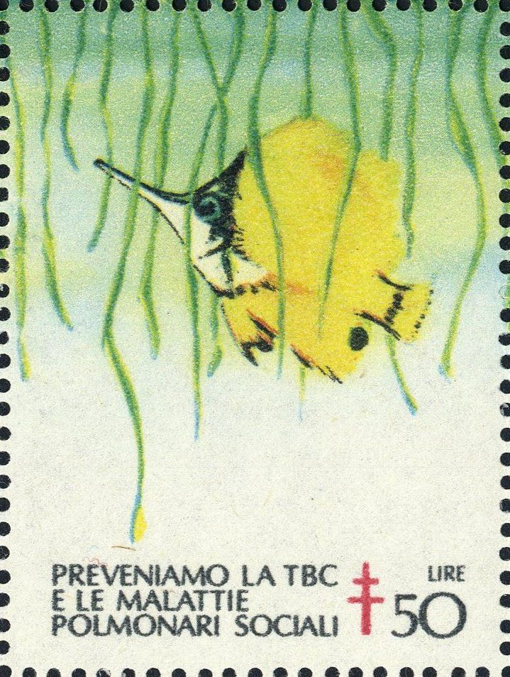 Image:vgn_ita_wsm1979.1.f12.big.jpg