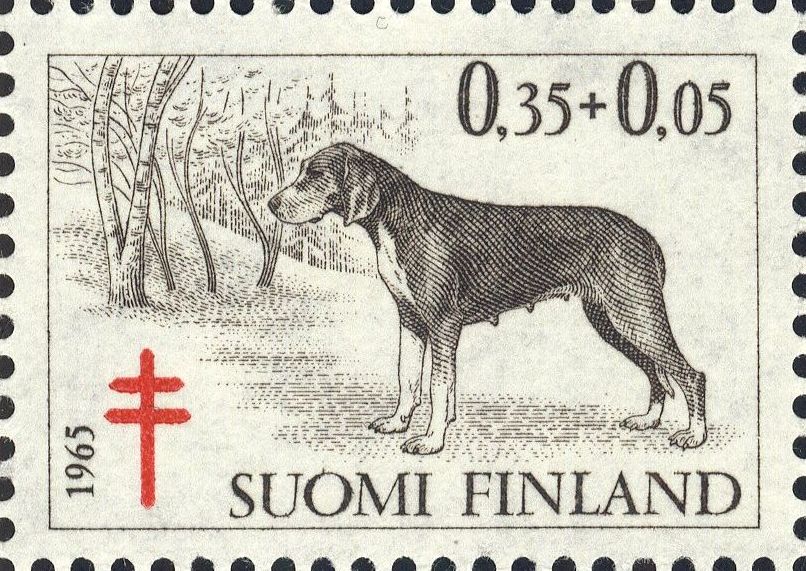 Image:fin0602.1.big.jpg