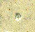 Image:bnd0226xw.042.small_jpfL5bb.jpg