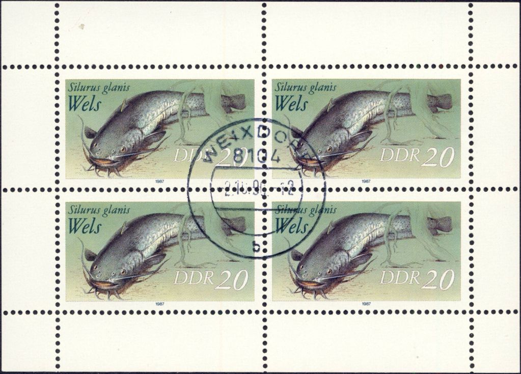Image:ddr3097IKlb.2mh.small_bg1.jpg