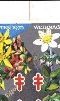 Image:vgn_bnd_wsm1973B.2.small_pkfO2c.jpg