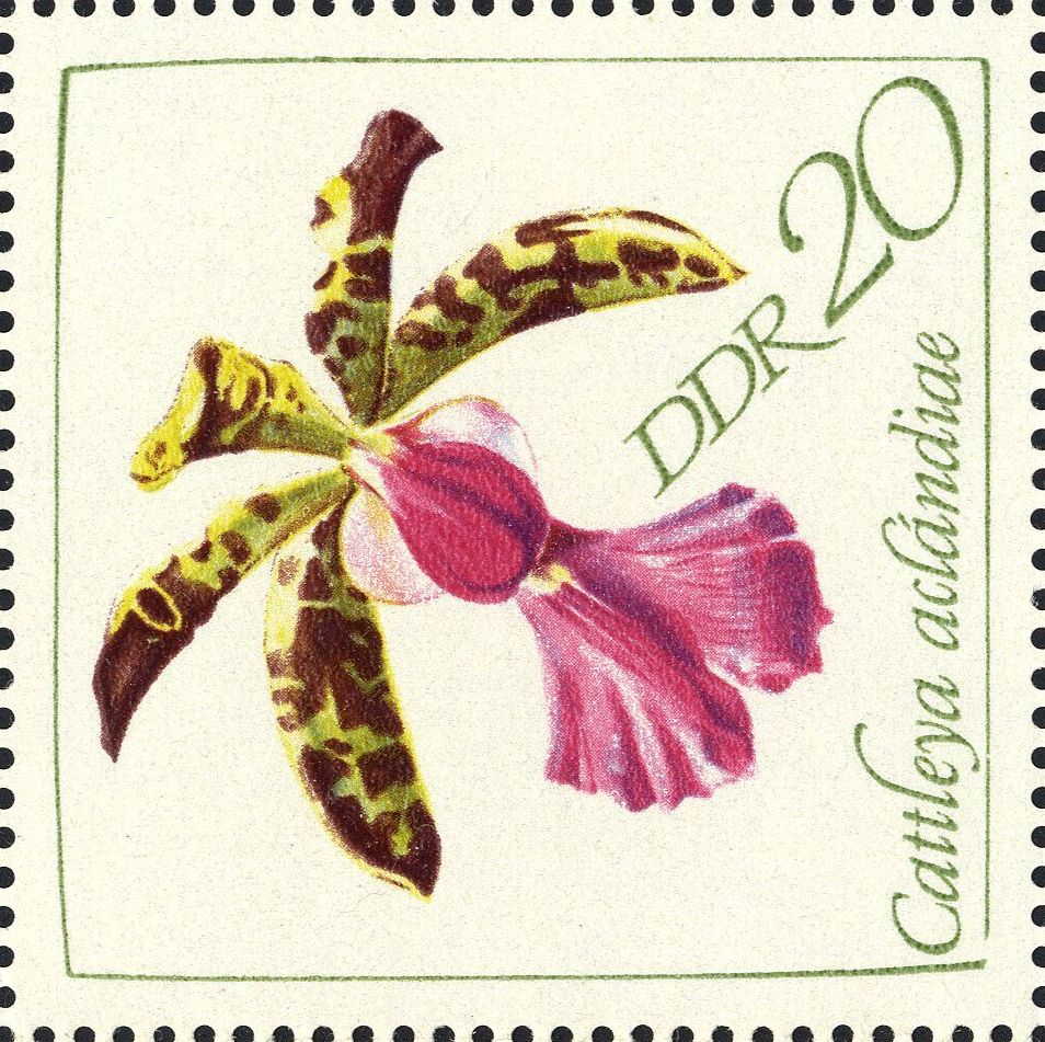 Image:ddr1423.2.big.jpg