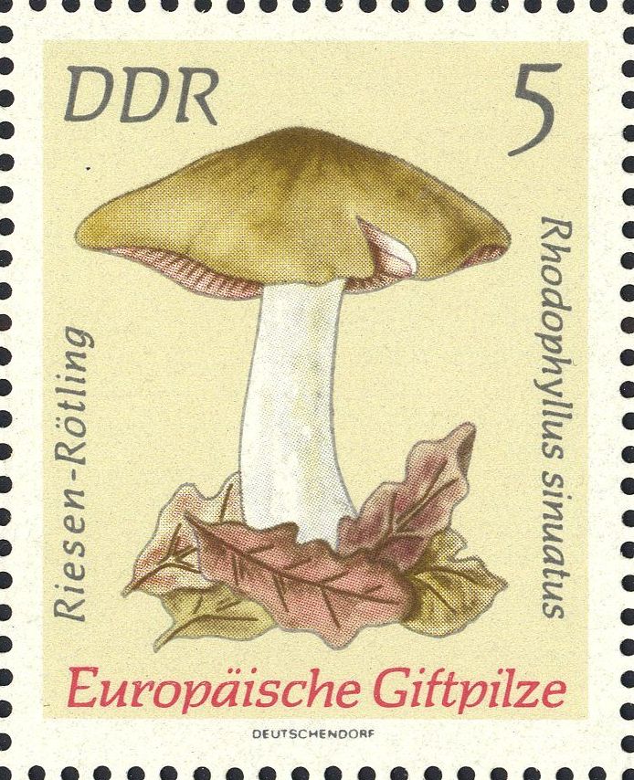 Image:ddr1933.1.big.jpg