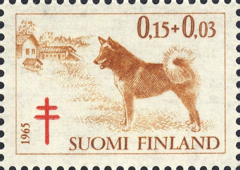 Image:fin0600.1.big.jpg