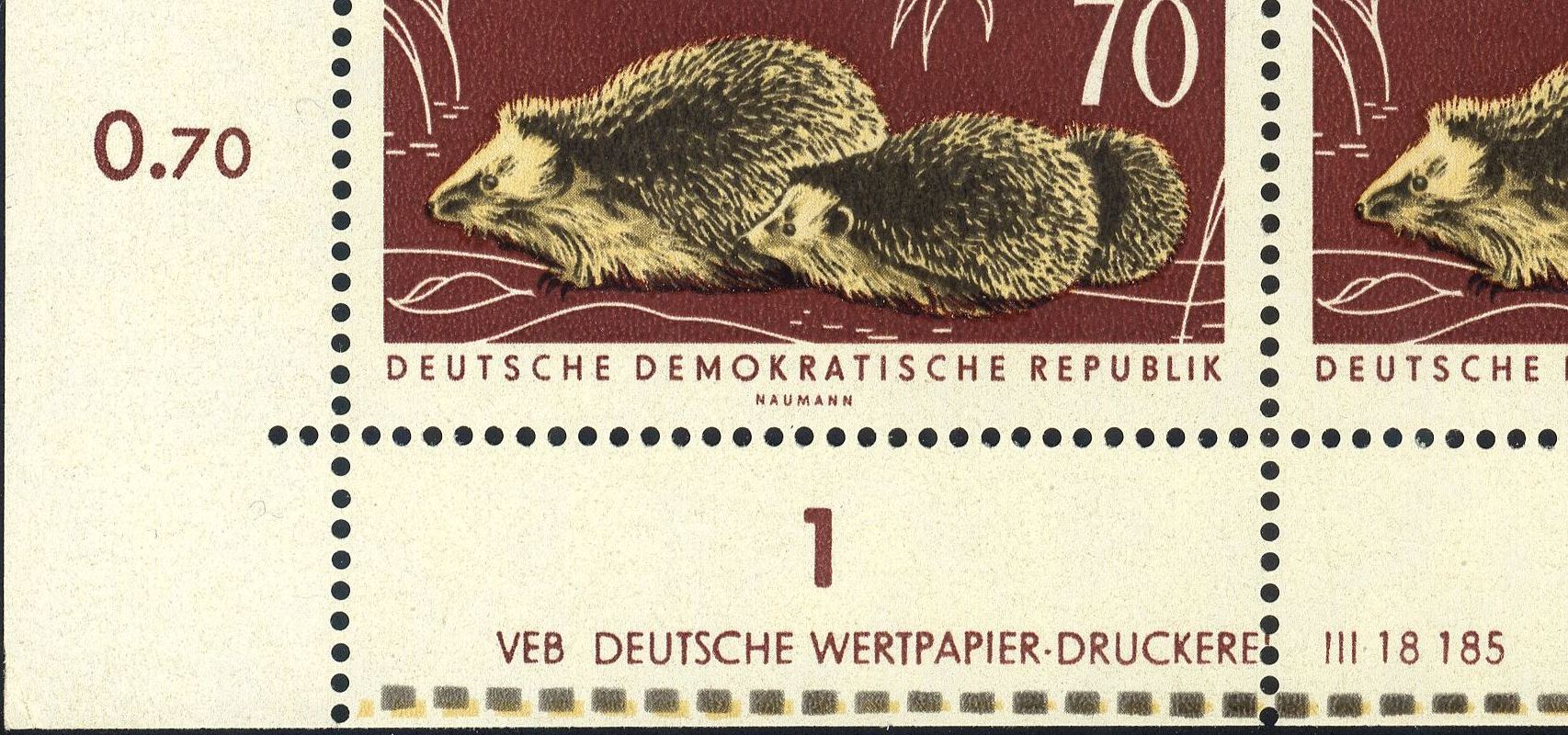 Image:ddr0982.3.big_dvf46.jpg