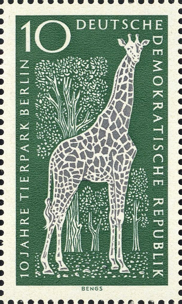 Image:ddr1093.1.big.jpg