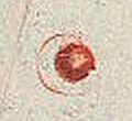 Image:bln0019.1.BGF.small_zpfL4ba.jpg