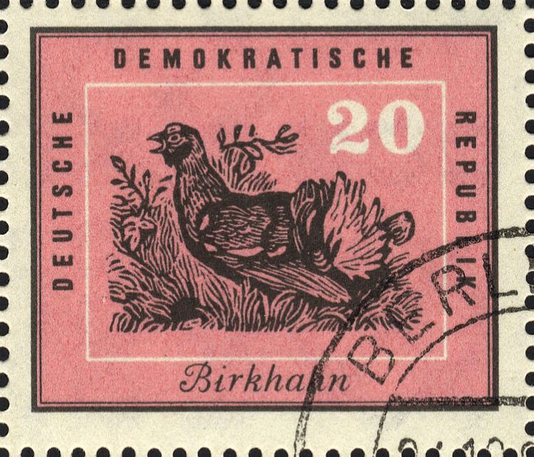 Image:ddr0701.1.big.jpg