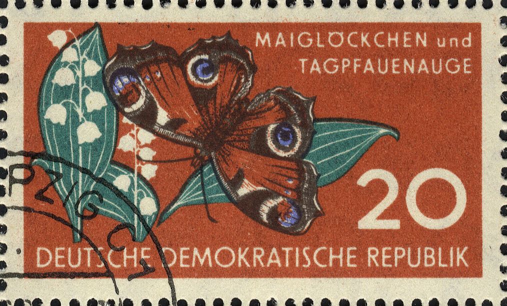 Image:ddr0690.3.big.jpg